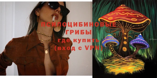 не бодяженный Пересвет