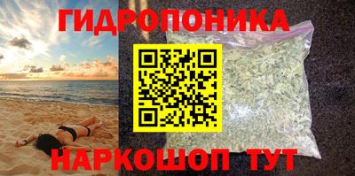 шишки Балашиха
