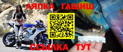 шишки Балашиха