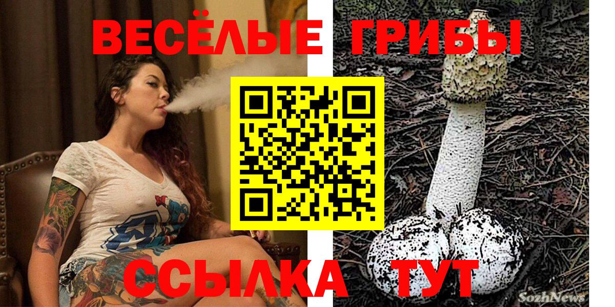 Галлюциногенные грибы Psilocybine cubensis Волжск