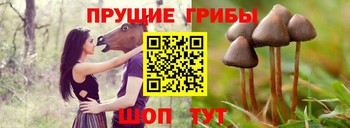 Псилоцибиновые грибы MAGIC MUSHROOMS Волжск