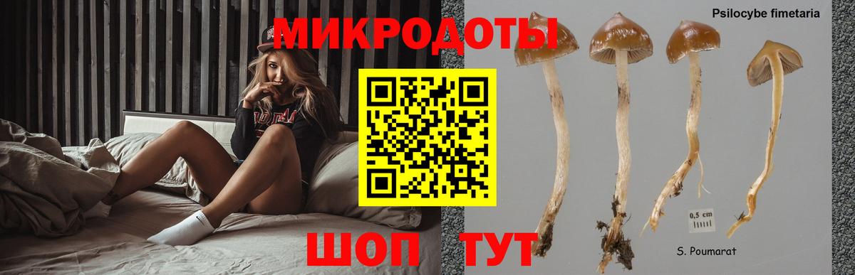 Псилоцибиновые грибы MAGIC MUSHROOMS  Волжск 