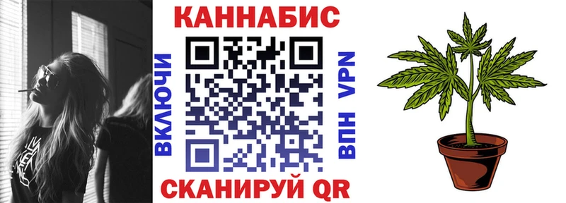 Шишки марихуана план  купить   Волжск 