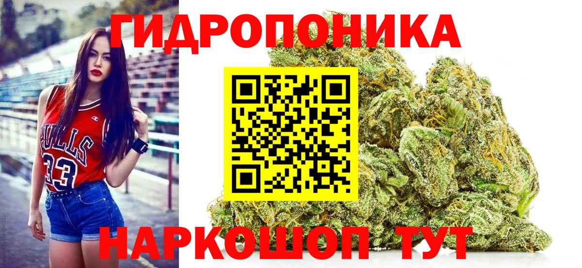 Бошки марихуана индика  Волжск  Конопля Amnesia  МАРИХУАНА план  Конопля Ganja 